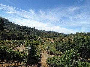 IMG_2705_2