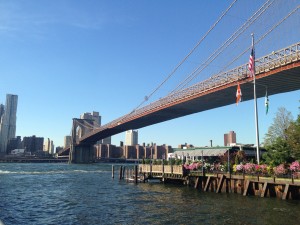 IMG_3143